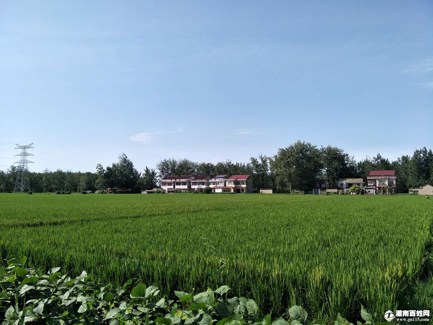 微信图片_20090904065918.jpg