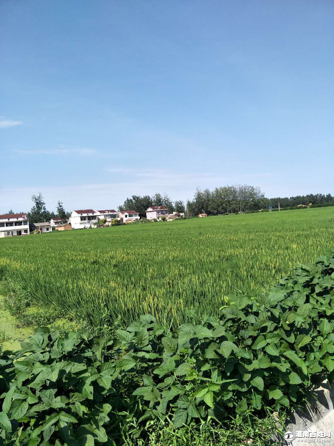 微信图片_20090904065931.jpg