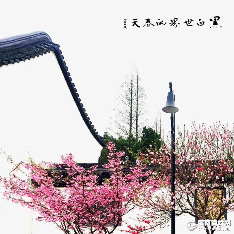 微信图片_20180507103509.jpg