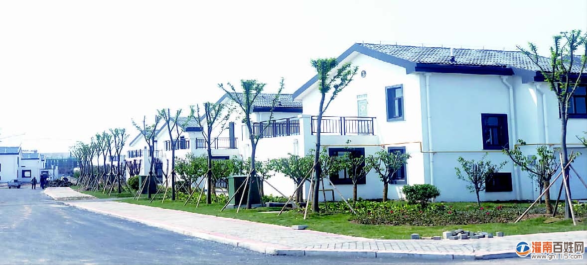 5ece66a1624ac.jpg