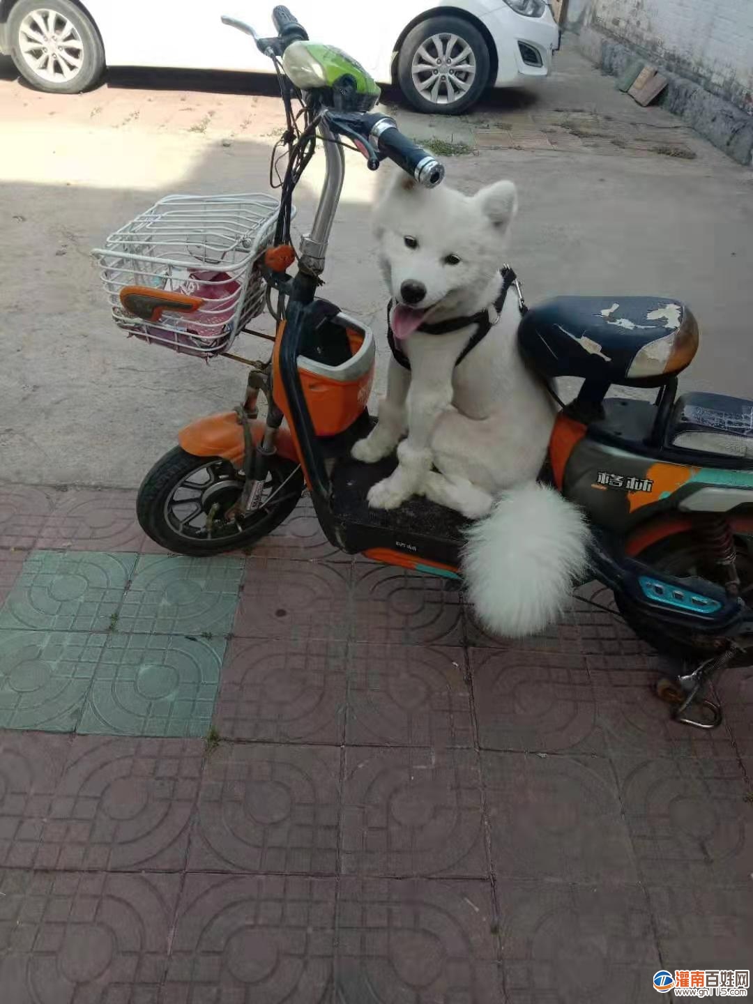 微信图片_20210612183703.jpg