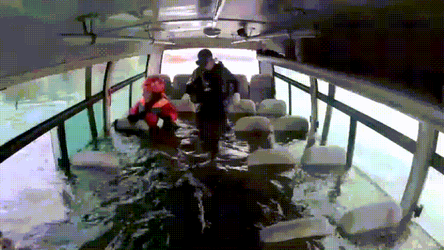 91d4fa6a538360150bb3830612d5ad18.gif