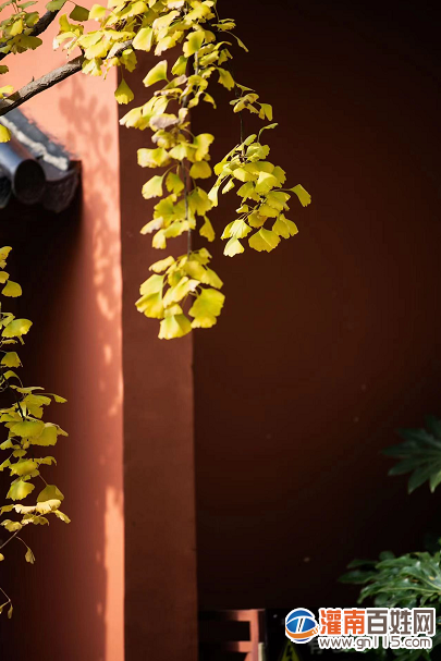 8e39d126f147fcbadad6b26edaa790e8.png